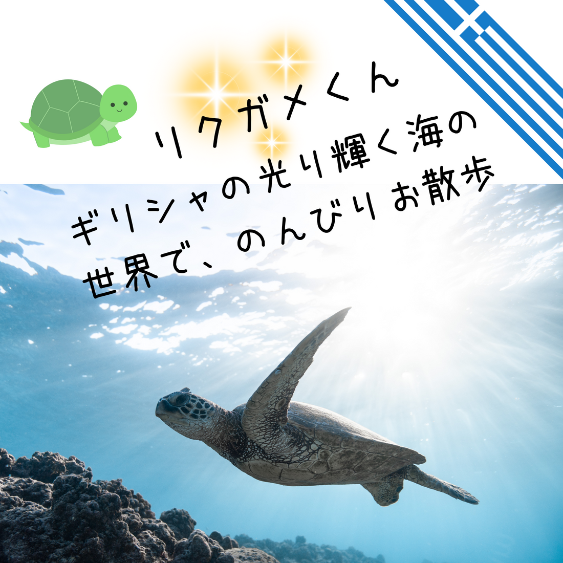 ギリシャリクガメの魅力にせまる!“リクガメくんを知る旅”