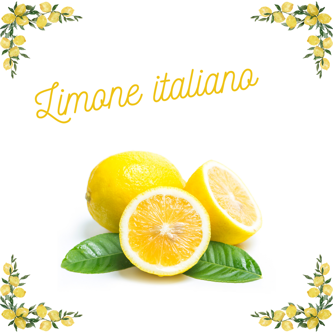 爽やかさで魅了するイタリアレモンの世界