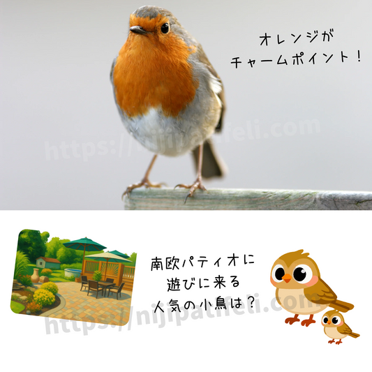 スペインで人気の小鳥｜南欧パティオで愛される可愛い鳥たち