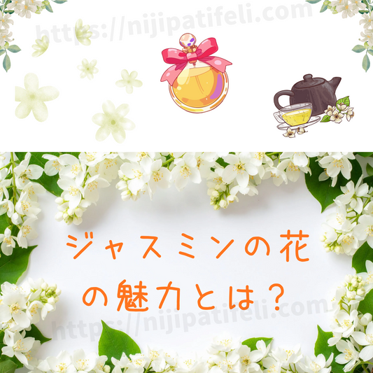 ジャスミンの花の魅力｜香り・花言葉・育て方・使う場面まで深く知るガイド