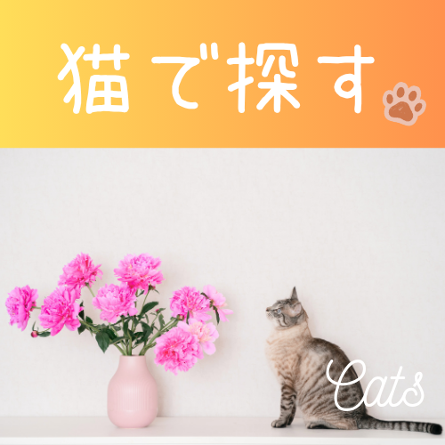 愛らしい猫ちゃん🐱