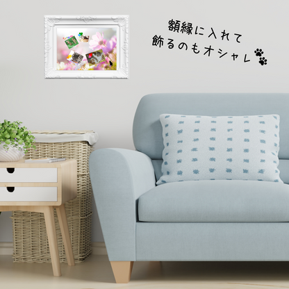 ソファとクッションの背景画像内に商品画像が飾られている。購入検討者が、購入後の商品をどう飾ればいいかイメージしやすいようにの工夫。