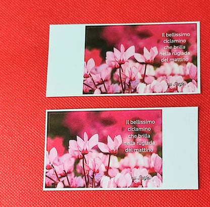 中サイズステッカー同じ柄２枚商品の表。背景画像は赤の単色。