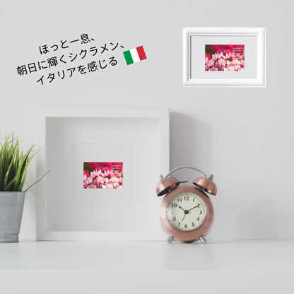 白壁と時計後ろの背景画像内に飾られているシクラメンのステッカー商品２枚。
